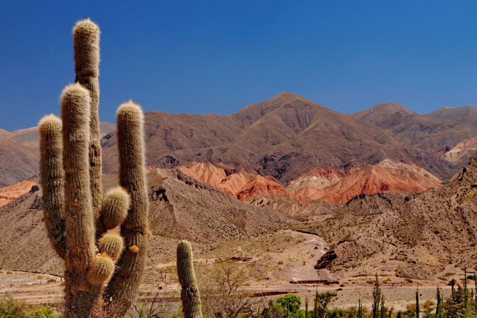 SALTA